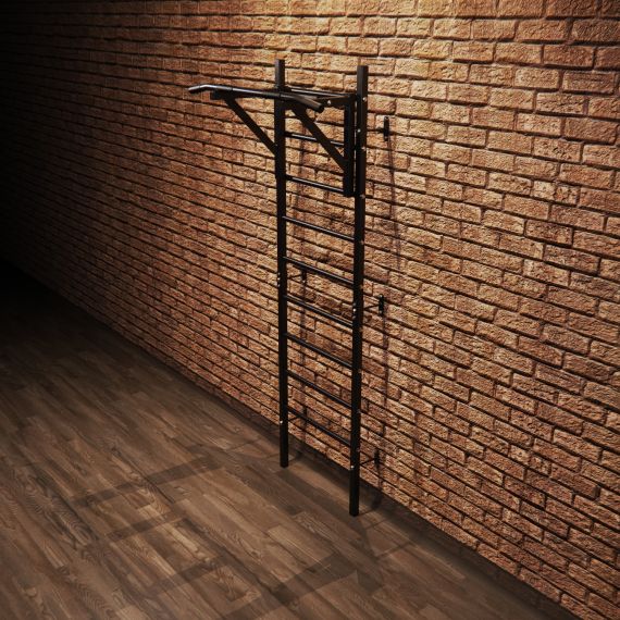 ШВЕДСКАЯ СТЕНКА С ОПЦИЯМИ DFC CLASSIC VT-7001