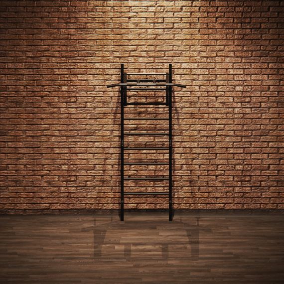 ШВЕДСКАЯ СТЕНКА С ОПЦИЯМИ DFC CLASSIC VT-7001