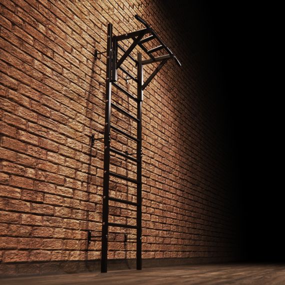 ШВЕДСКАЯ СТЕНКА С ОПЦИЯМИ DFC CLASSIC VT-7001