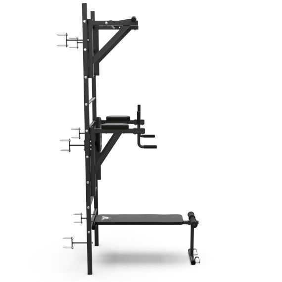 ШВЕДСКАЯ СТЕНКА С ОПЦИЯМИ DFC CLASSIC VT-7006